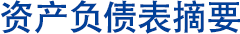 资产负债表摘要