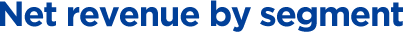 Net revenue by segment